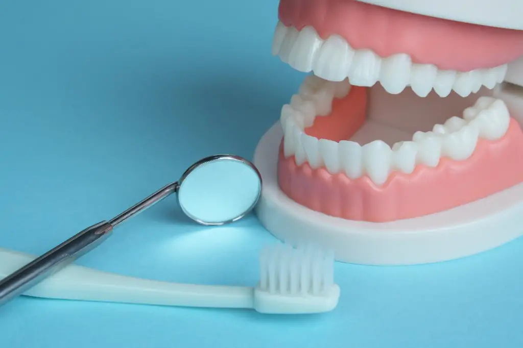 予防・クリーニング