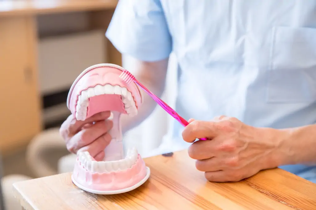 歯周病治療の流れ